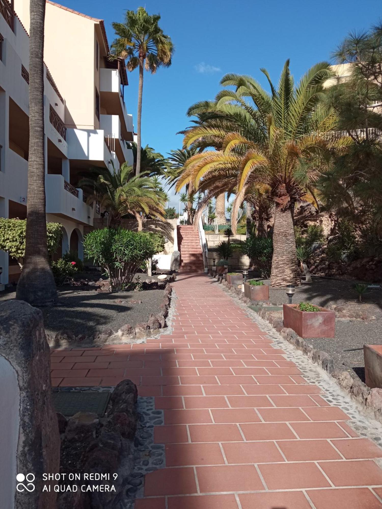 Las Meninas Tenerife San Miguel de Abona Chambre photo